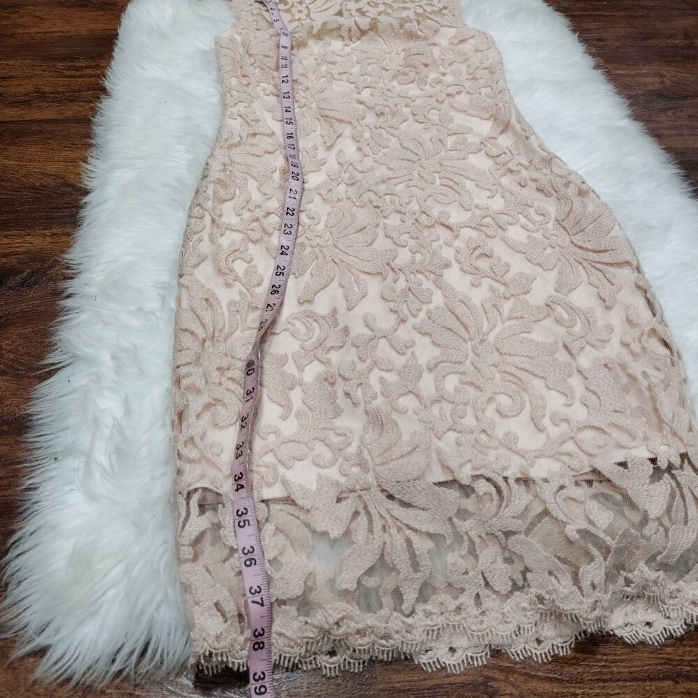 Tadashi Shoji Sheath Dress S Beige Rose Pink Lace Sleeveless - Picture 9 of 10